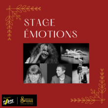Stage Émotions Théâtre du Sphinx